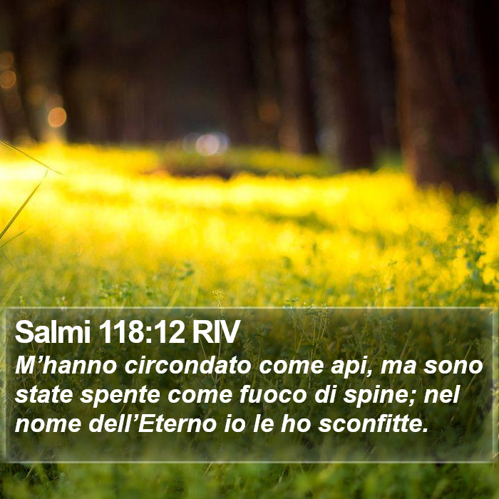 Salmi 118:12 RIV Bible Study