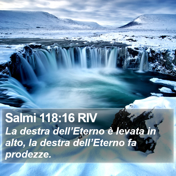 Salmi 118:16 RIV Bible Study