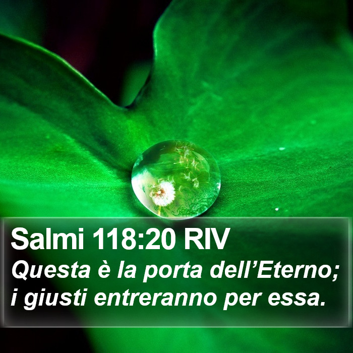 Salmi 118:20 RIV Bible Study