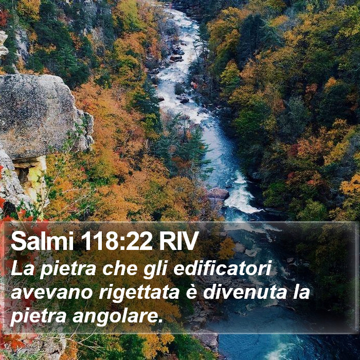 Salmi 118:22 RIV Bible Study