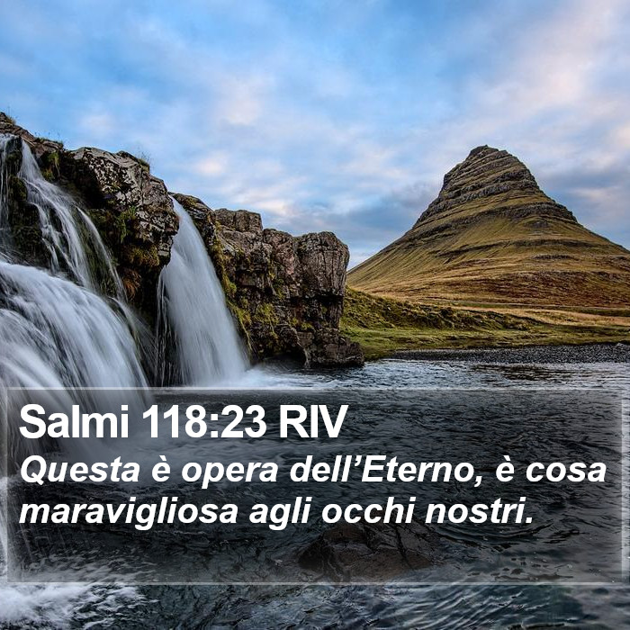 Salmi 118:23 RIV Bible Study