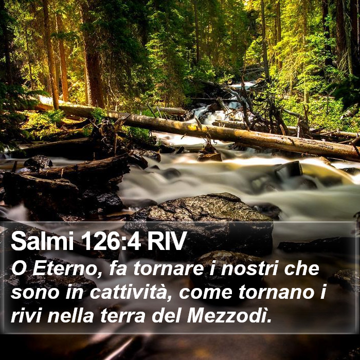 Salmi 126:4 RIV Bible Study