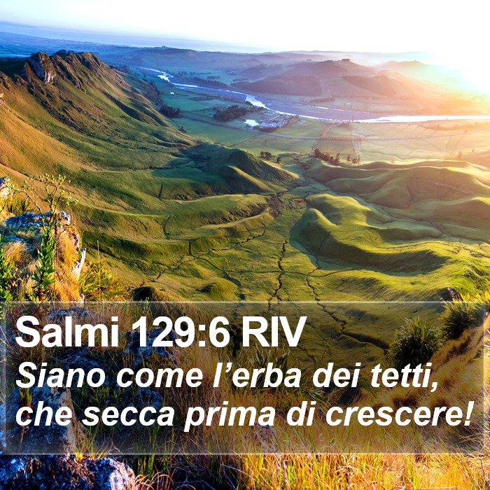 Salmi 129:6 RIV Bible Study