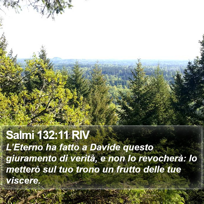 Salmi 132:11 RIV Bible Study