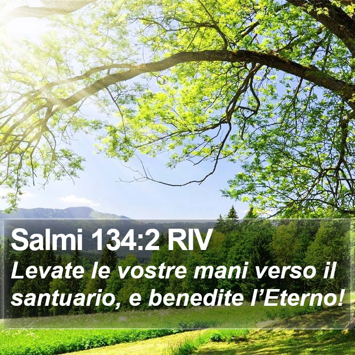 Salmi 134:2 RIV Bible Study