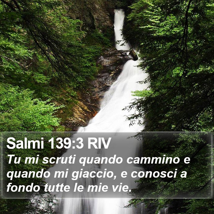 Salmi 139:3 RIV Bible Study