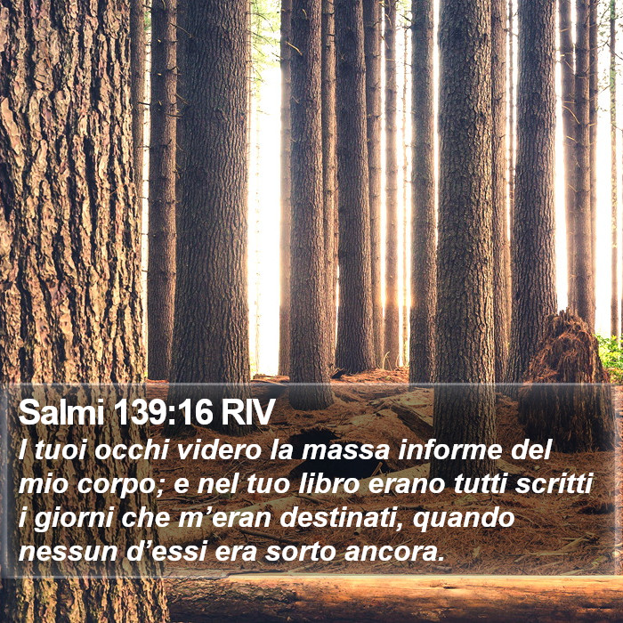 Salmi 139:16 RIV Bible Study