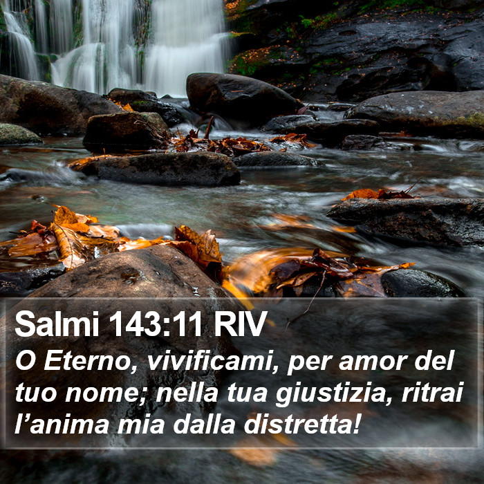 Salmi 143:11 RIV Bible Study