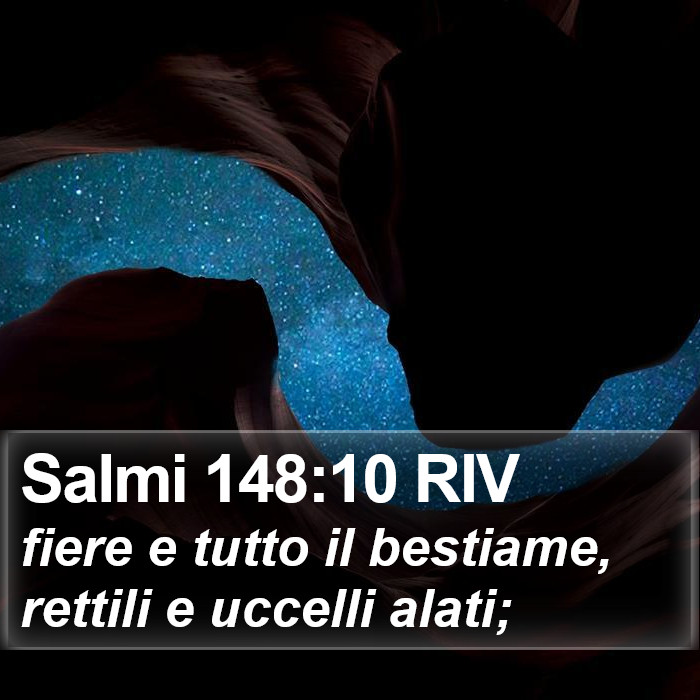 Salmi 148:10 RIV Bible Study