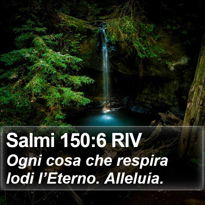 Salmi 150:6 RIV Bible Study