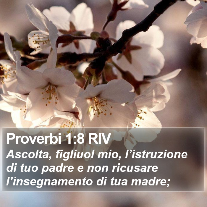 Proverbi 1:8 RIV Bible Study