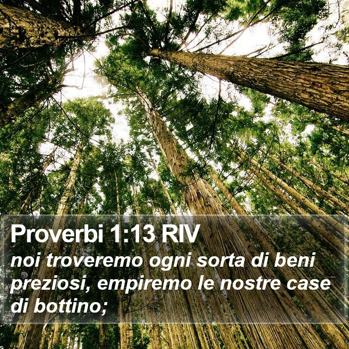 Proverbi 1:13 RIV Bible Study