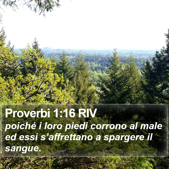 Proverbi 1:16 RIV Bible Study