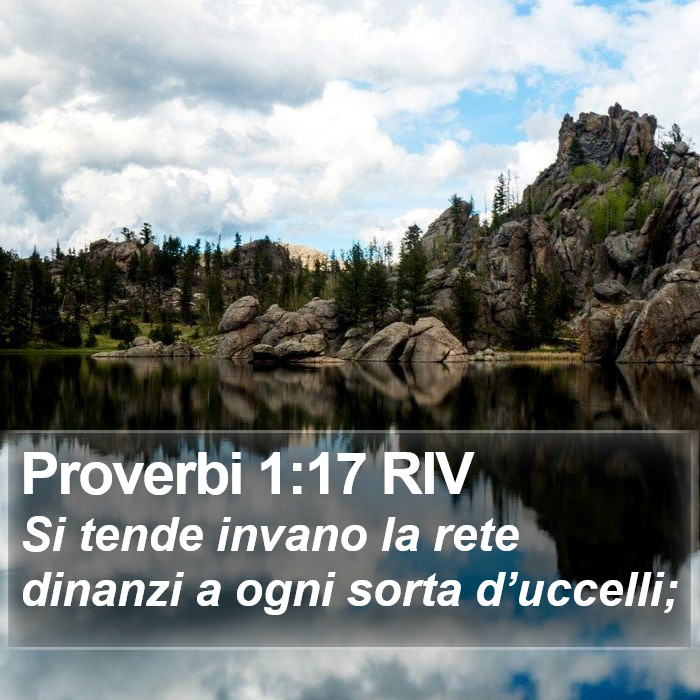 Proverbi 1:17 RIV Bible Study