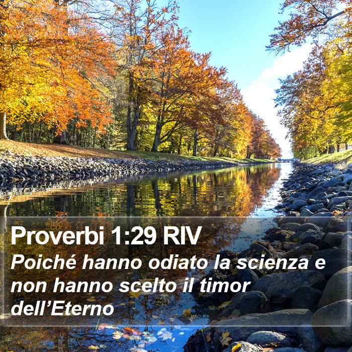 Proverbi 1:29 RIV Bible Study