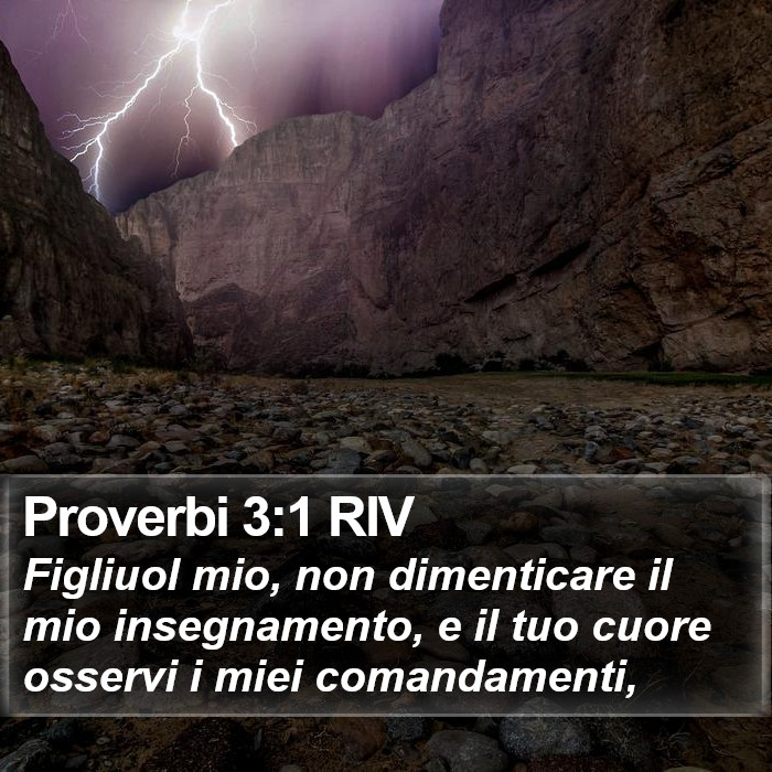 Proverbi 3:1 RIV Bible Study