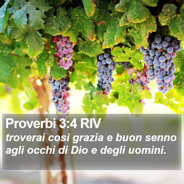 Proverbi 3:4 RIV Bible Study