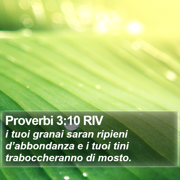 Proverbi 3:10 RIV Bible Study