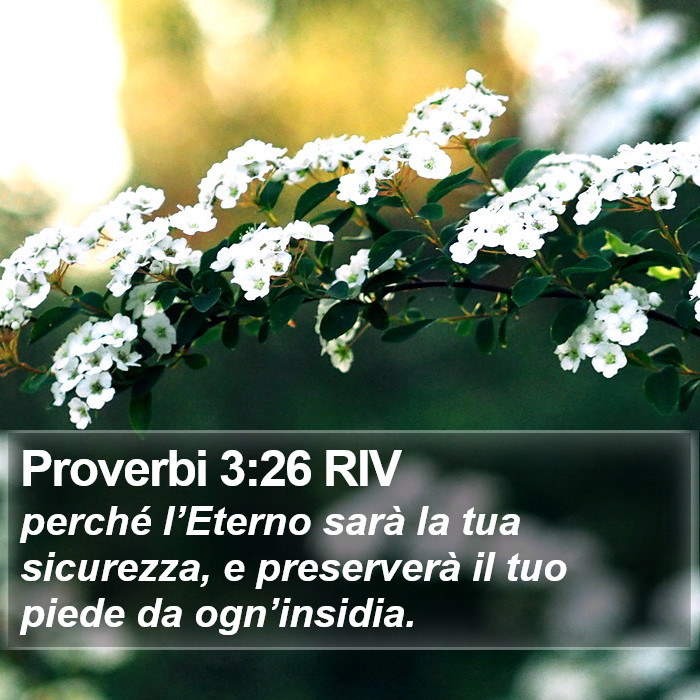 Proverbi 3:26 RIV Bible Study