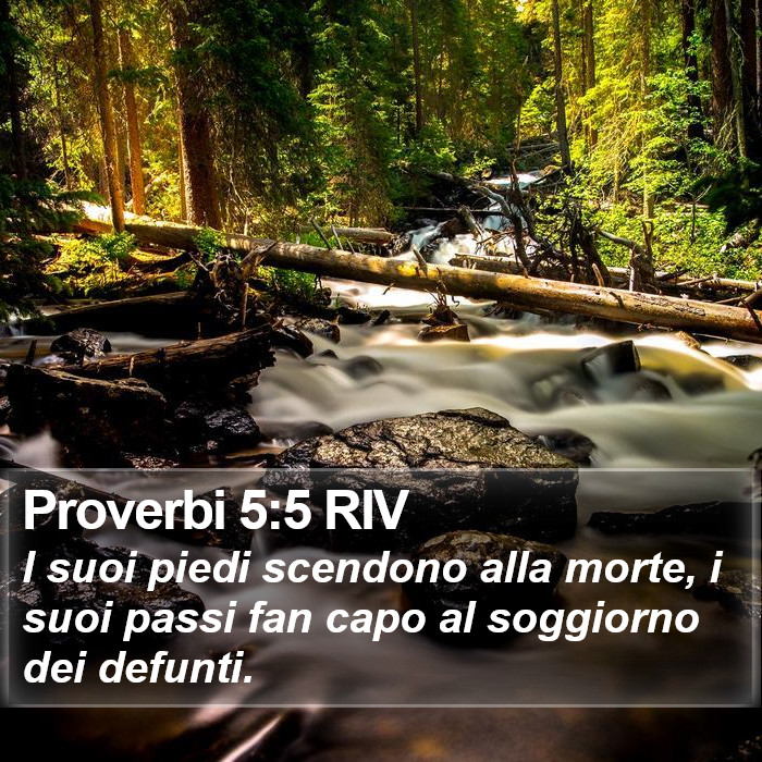 Proverbi 5:5 RIV Bible Study
