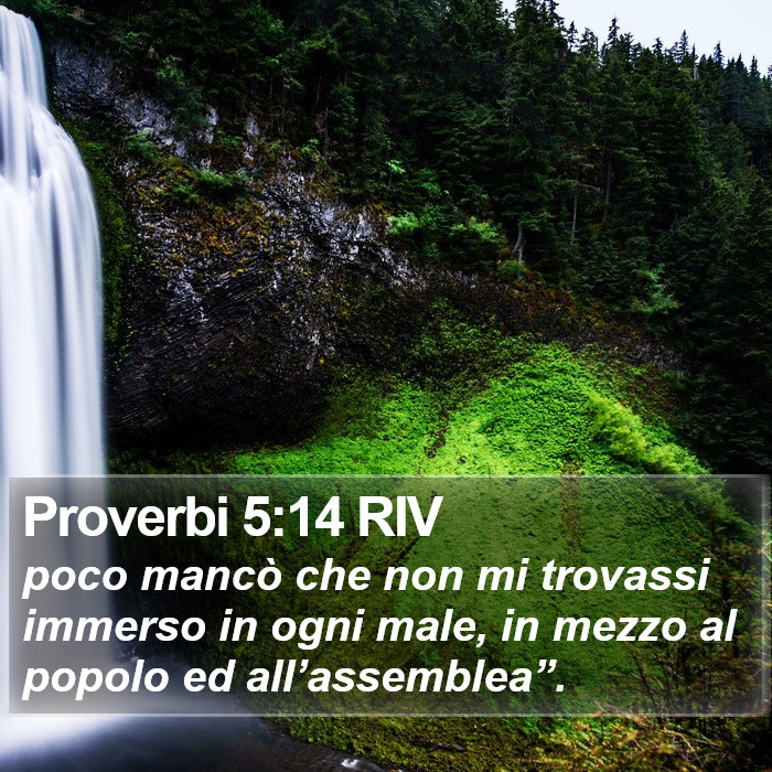 Proverbi 5:14 RIV Bible Study