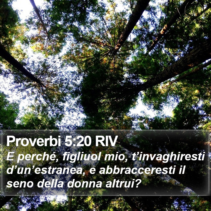 Proverbi 5:20 RIV Bible Study
