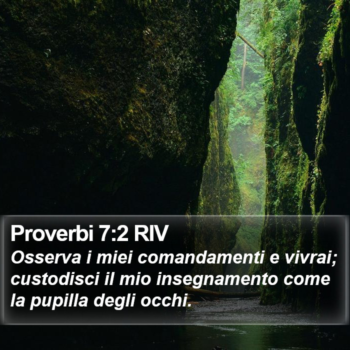 Proverbi 7:2 RIV Bible Study