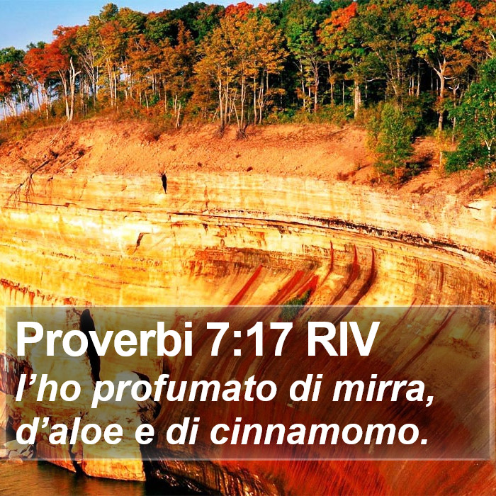 Proverbi 7:17 RIV Bible Study