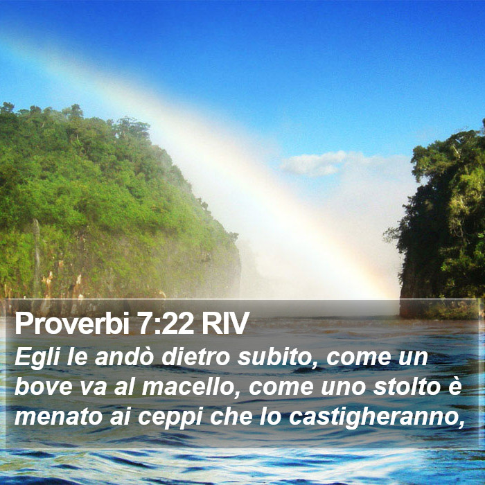 Proverbi 7:22 RIV Bible Study