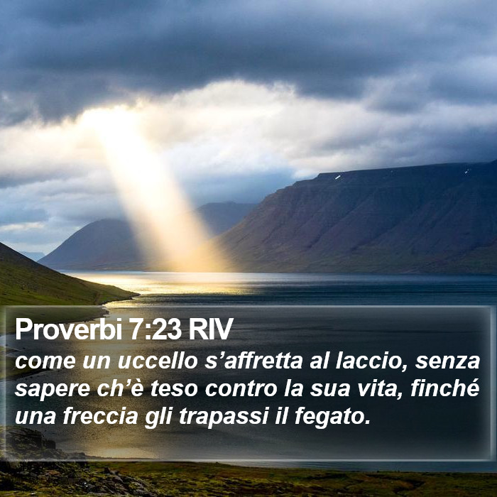 Proverbi 7:23 RIV Bible Study