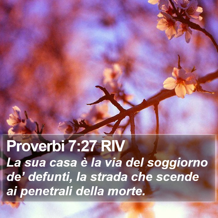 Proverbi 7:27 RIV Bible Study