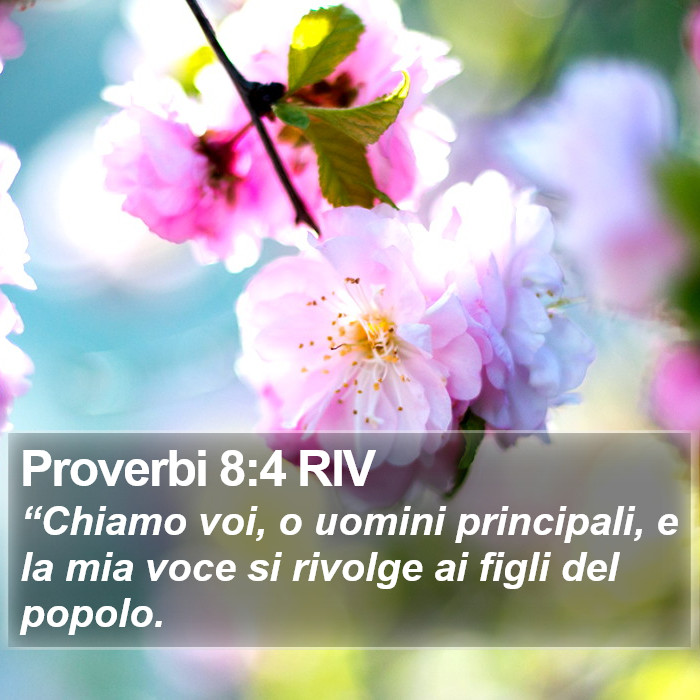 Proverbi 8:4 RIV Bible Study