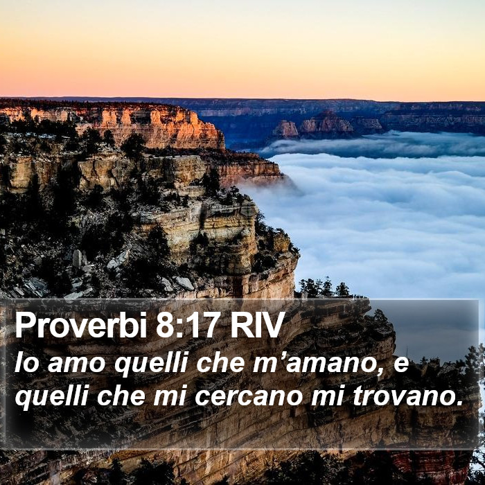 Proverbi 8:17 RIV Bible Study