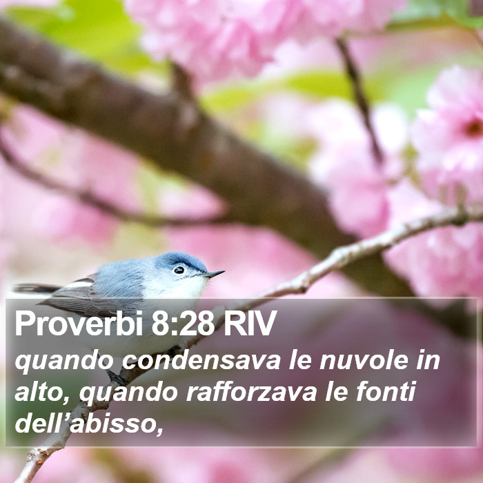 Proverbi 8:28 RIV Bible Study