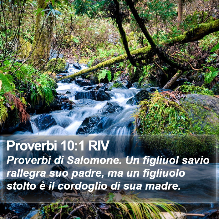 Proverbi 10:1 RIV Bible Study