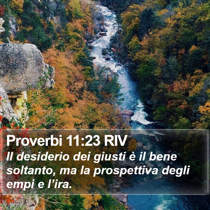 Proverbi 11:23 RIV Bible Study