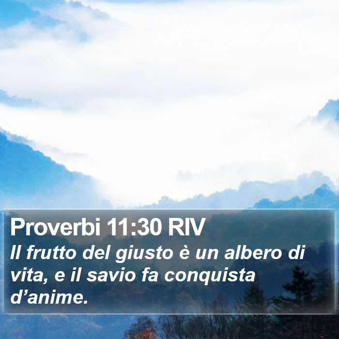 Proverbi 11:30 RIV Bible Study