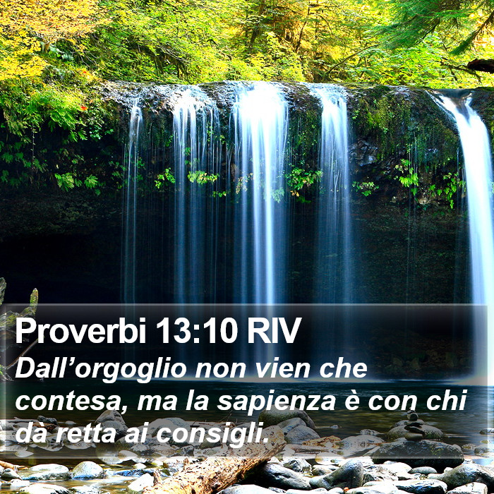 Proverbi 13:10 RIV Bible Study
