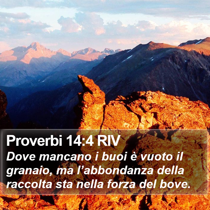 Proverbi 14:4 RIV Bible Study