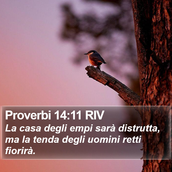 Proverbi 14:11 RIV Bible Study