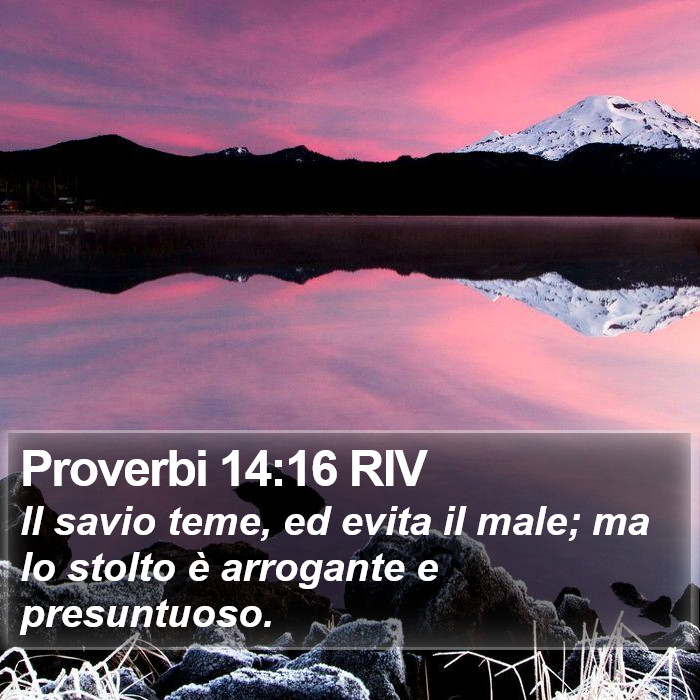 Proverbi 14:16 RIV Bible Study