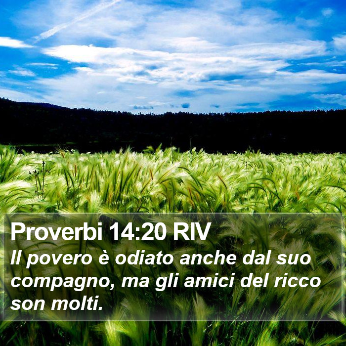 Proverbi 14:20 RIV Bible Study