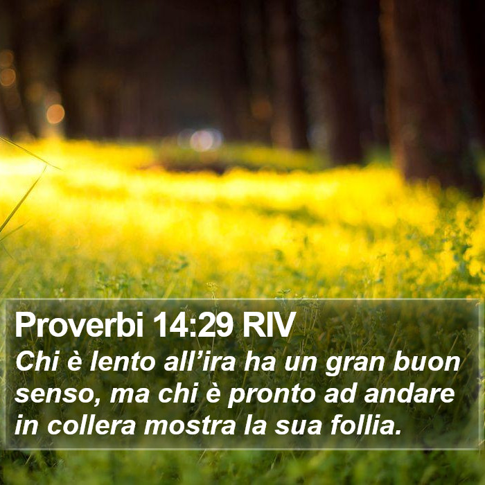 Proverbi 14:29 RIV Bible Study