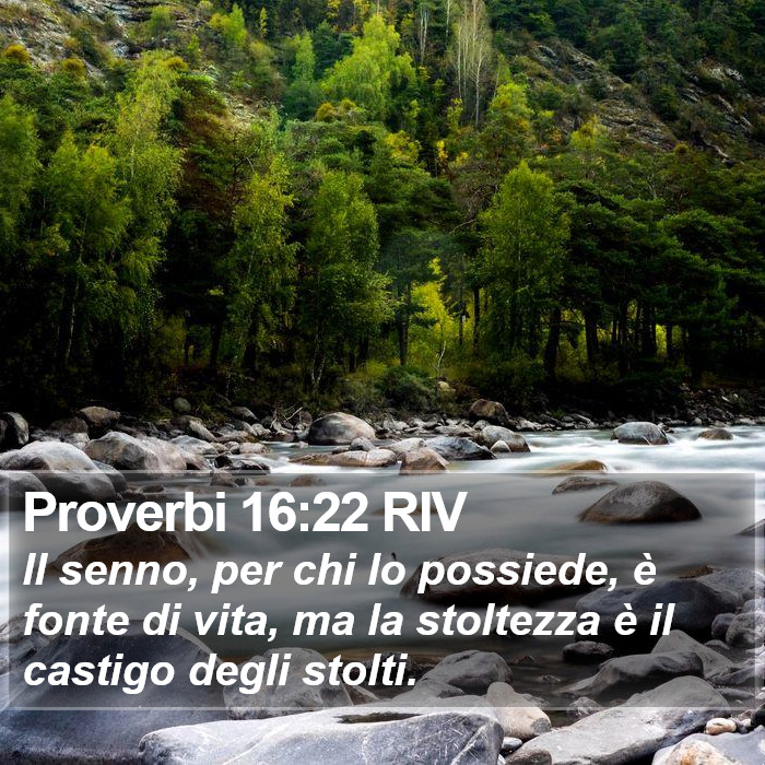 Proverbi 16:22 RIV Bible Study