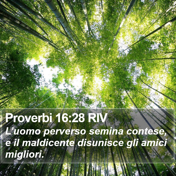 Proverbi 16:28 RIV Bible Study