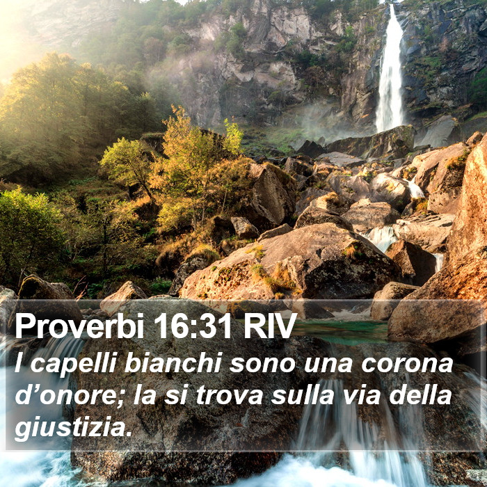 Proverbi 16:31 RIV Bible Study