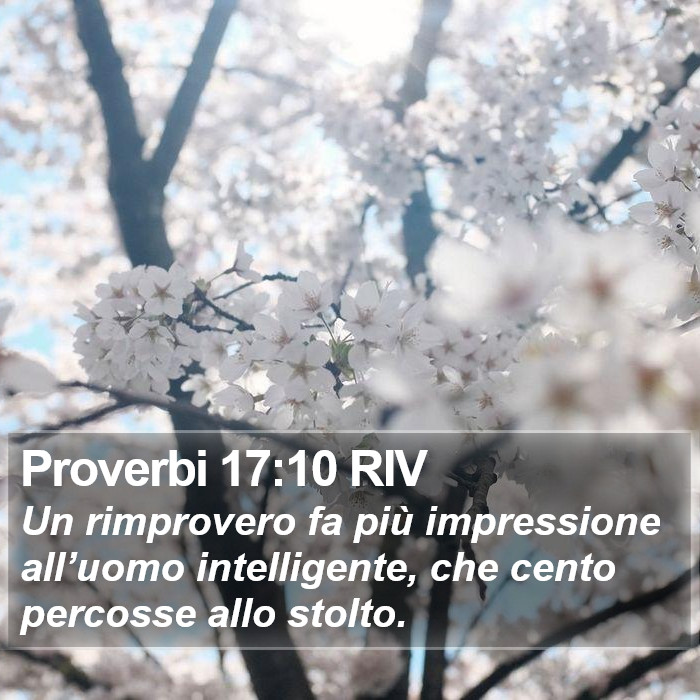 Proverbi 17:10 RIV Bible Study