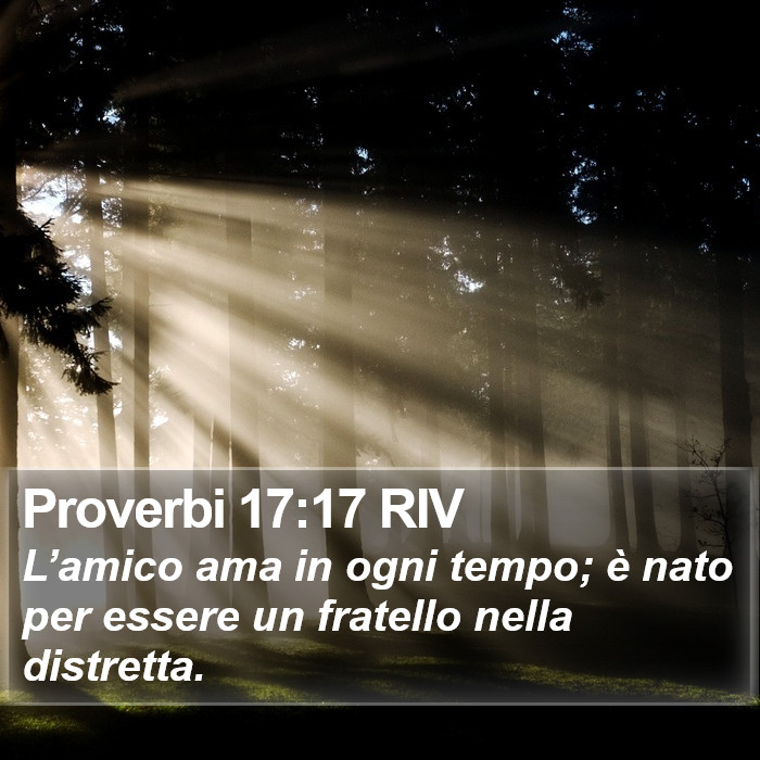 Proverbi 17:17 RIV Bible Study