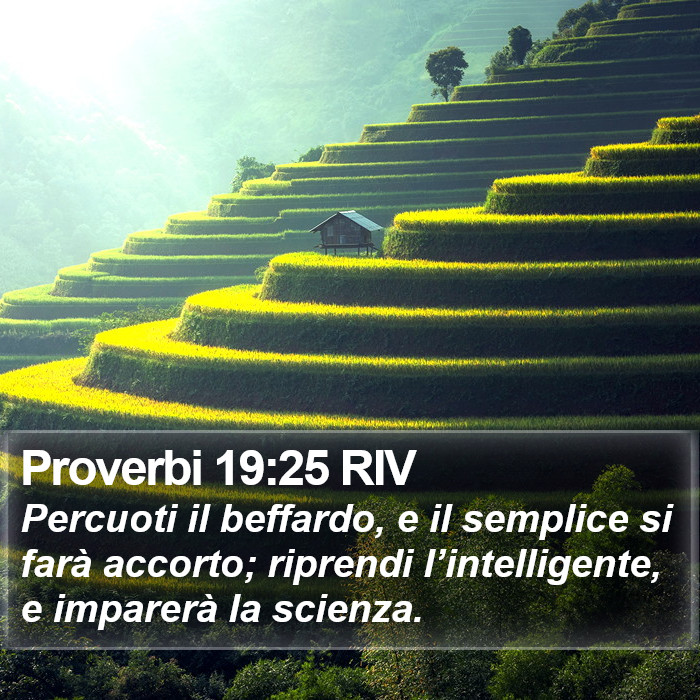 Proverbi 19:25 RIV Bible Study