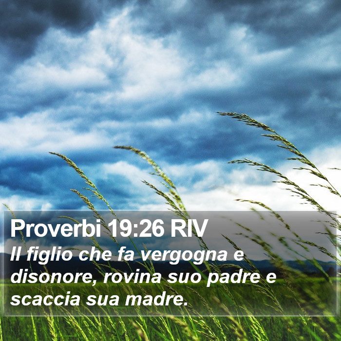 Proverbi 19:26 RIV Bible Study